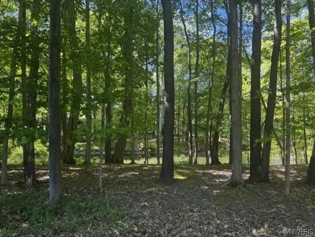4233 Freeman Road, Orchard Park, New York 14127, Orchard Park, New York 14127, 4 Bedrooms Bedrooms, 8 Rooms Rooms,2 BathroomsBathrooms,Residential,For Sale,4233 Freeman Road, Orchard Park, New York 14127,0,B1681221