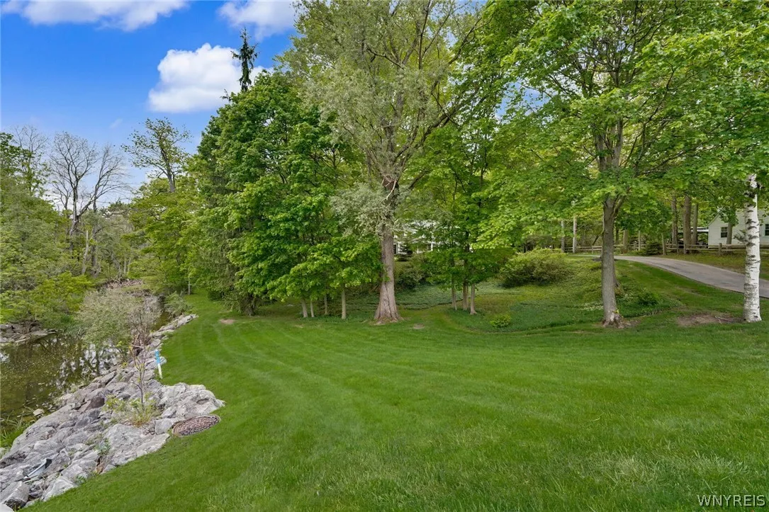 Front yard