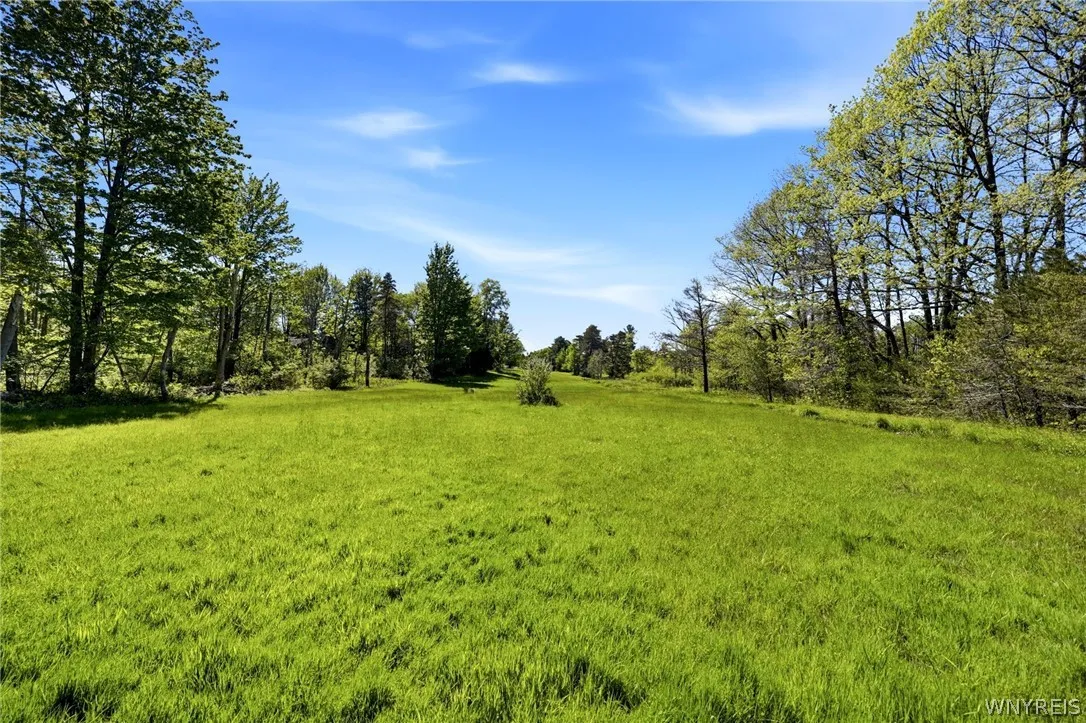 6467 Chestnut Ridge Road, Orchard Park, New York 1, Orchard Park, New York 14127, 5 Bedrooms Bedrooms, 9 Rooms Rooms,1 BathroomBathrooms,Residential,For Sale,6467 Chestnut Ridge Road, Orchard Park, New York 1,0,B1684432