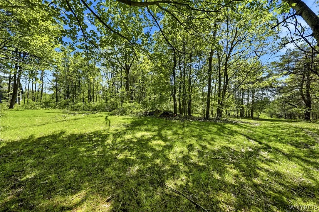 6467 Chestnut Ridge Road, Orchard Park, New York 1, Orchard Park, New York 14127, 5 Bedrooms Bedrooms, 9 Rooms Rooms,1 BathroomBathrooms,Residential,For Sale,6467 Chestnut Ridge Road, Orchard Park, New York 1,0,B1684432