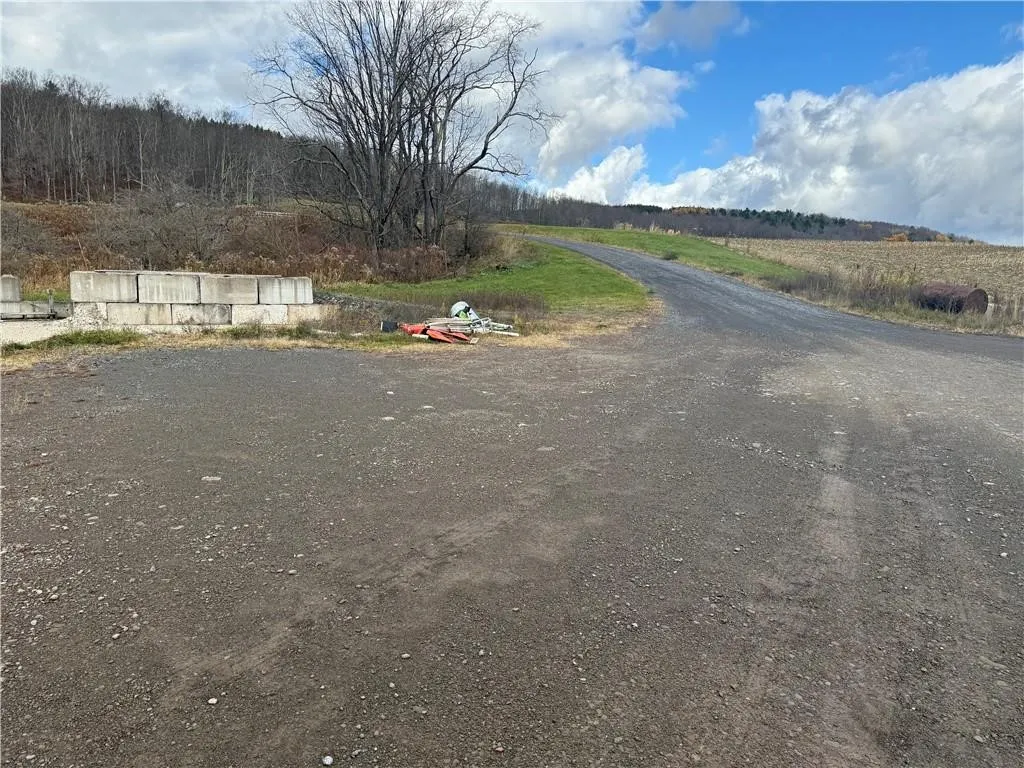 62166 Rt-10, Harpersfield, New York 13788, Harpersfield, New York 13788, ,Land,For Sale,62166 Rt-10, Harpersfield, New York 13788,0,R1686033