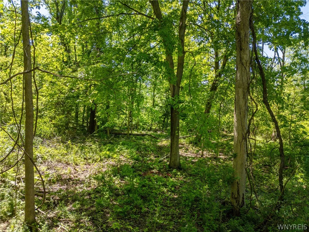 V/l North Freeman Road, Orchard Park, New York 141, Orchard Park, New York 14127, 3 Bedrooms Bedrooms, ,Land,For Sale,V/l North Freeman Road, Orchard Park, New York 141,0,B1687983