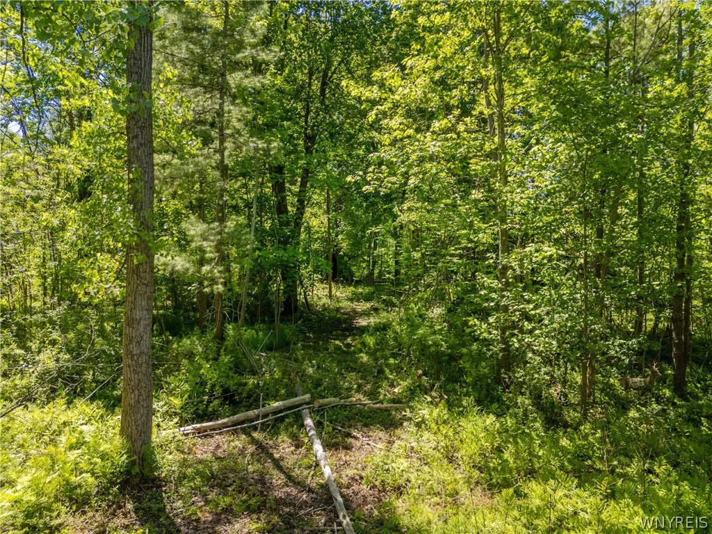 V/l North Freeman Road, Orchard Park, New York 141, Orchard Park, New York 14127, 3 Bedrooms Bedrooms, ,Land,For Sale,V/l North Freeman Road, Orchard Park, New York 141,0,B1687983