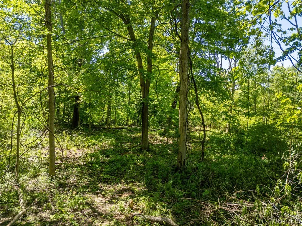 V/l North Freeman Road, Orchard Park, New York 141, Orchard Park, New York 14127, 3 Bedrooms Bedrooms, ,Land,For Sale,V/l North Freeman Road, Orchard Park, New York 141,0,B1687983