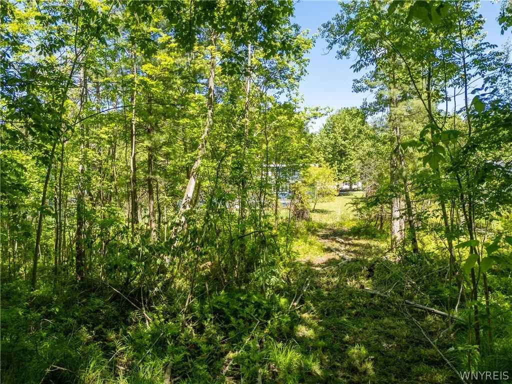 V/l North Freeman Road, Orchard Park, New York 141, Orchard Park, New York 14127, 3 Bedrooms Bedrooms, ,Land,For Sale,V/l North Freeman Road, Orchard Park, New York 141,0,B1687983