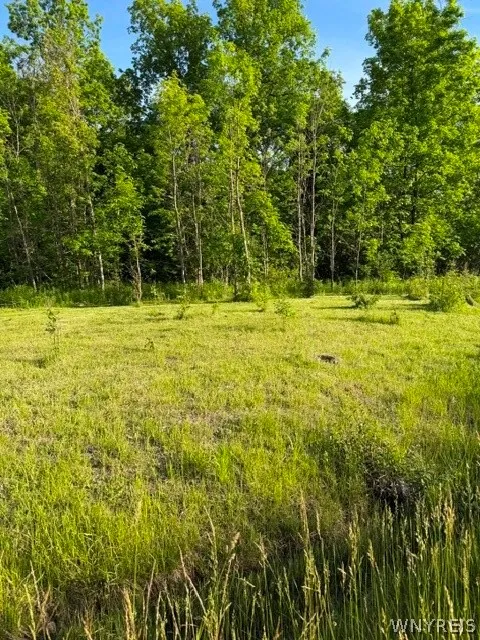 Lake Shore Road North, Hamburg, New York 14075, Hamburg, New York 14075, ,Land,For Sale,Lake Shore Road North, Hamburg, New York 14075,0,B1689370