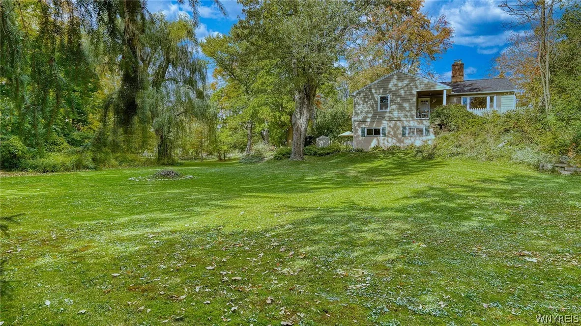 Great Lot!