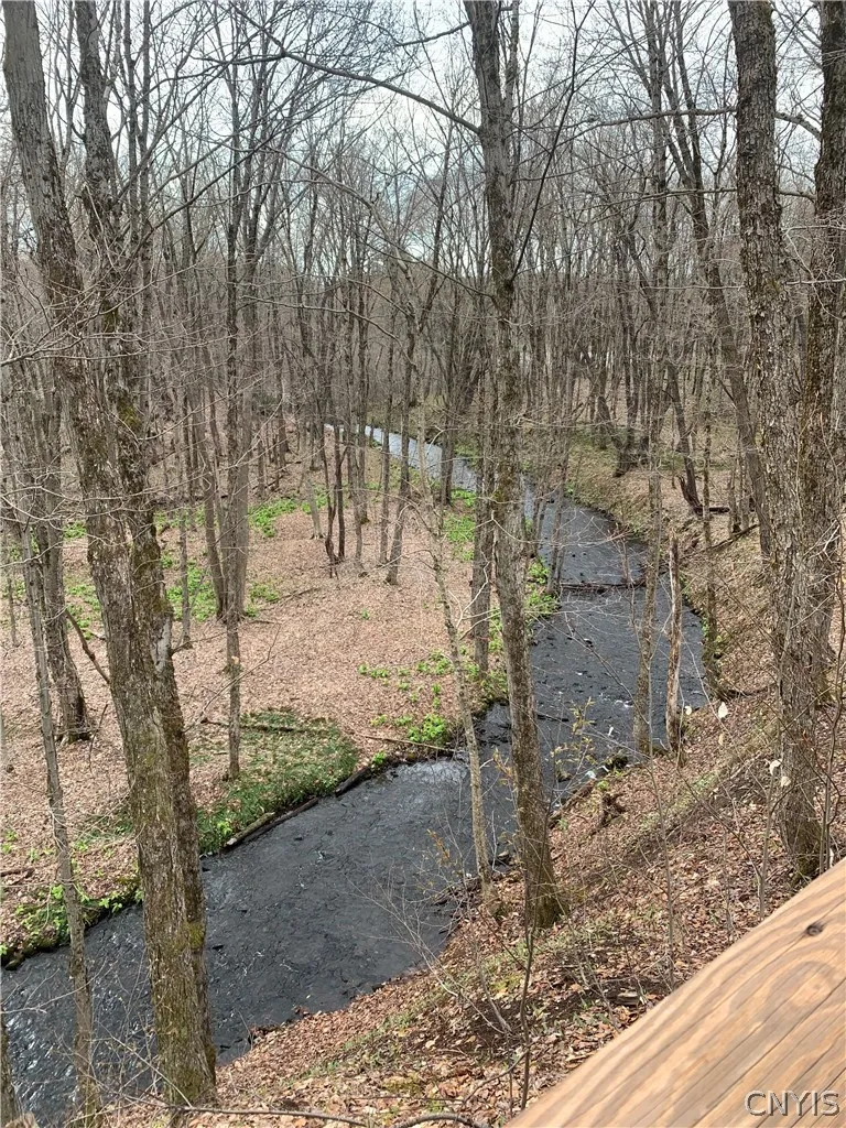 28401 Waite Road, Worth, New York 13659, Worth, New York 13659, 2 Bedrooms Bedrooms, ,1 BathroomBathrooms,Land,For Sale,28401 Waite Road, Worth, New York 13659,0,S1689727