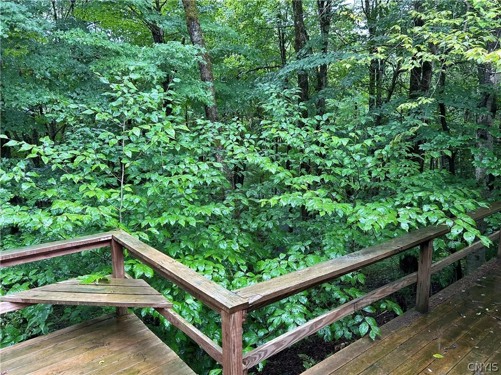 28401 Waite Road, Worth, New York 13659, Worth, New York 13659, 2 Bedrooms Bedrooms, ,1 BathroomBathrooms,Land,For Sale,28401 Waite Road, Worth, New York 13659,0,S1689727