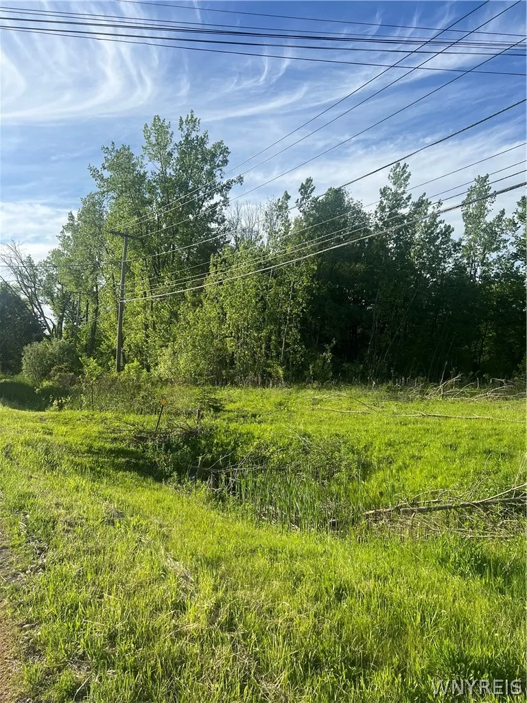 Ellicott Road, Orchard Park, New York 14127, Orchard Park, New York 14127, ,Land,For Sale,Ellicott Road, Orchard Park, New York 14127,0,B1689659