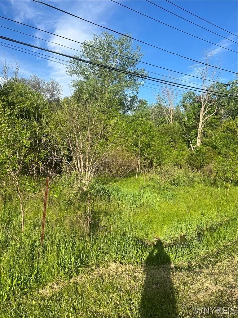 Ellicott Road, Orchard Park, New York 14127, Orchard Park, New York 14127, ,Land,For Sale,Ellicott Road, Orchard Park, New York 14127,0,B1689659