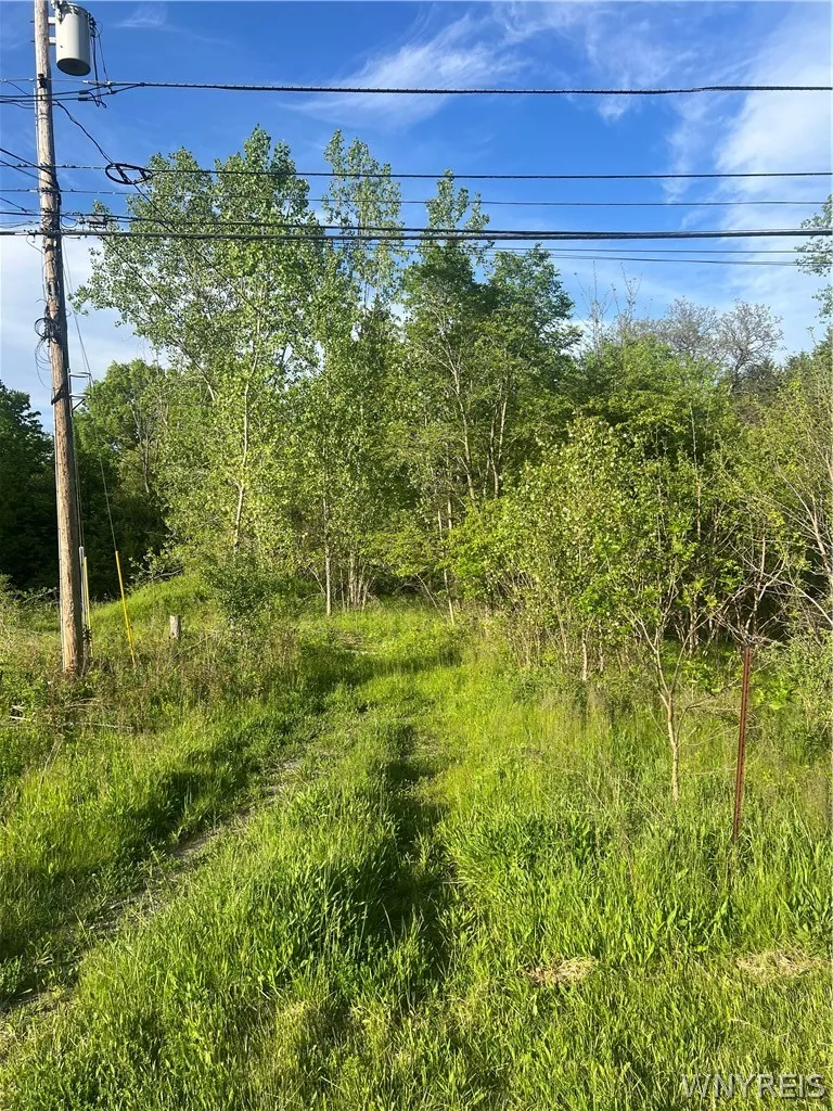 Ellicott Road, Orchard Park, New York 14127, Orchard Park, New York 14127, ,Land,For Sale,Ellicott Road, Orchard Park, New York 14127,0,B1689659
