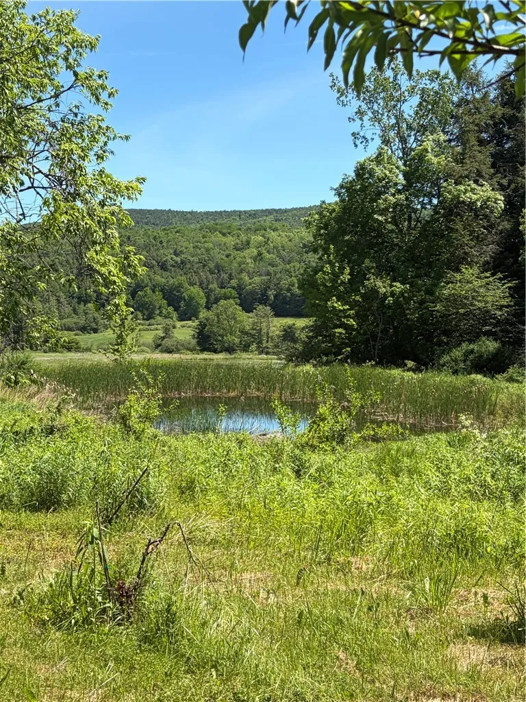 548 Shew Hollow Road, Gilboa, New York 12167, Gilboa, New York 12167, 3 Bedroom Bedrooms, 6 Room Rooms,2 BathroomBathrooms,Residential,For Sale,548 Shew Hollow Road, Gilboa, New York 12167,0,R1689856