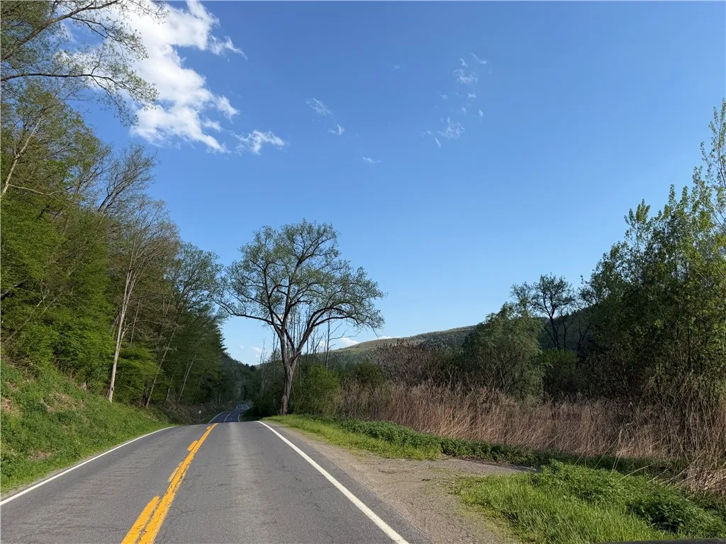 Wp Lot02 County Route 119, Canisteo, New York 1481, Canisteo, New York 14819, ,Land,For Sale,Wp Lot02 County Route 119, Canisteo, New York 1481,0,R1690389
