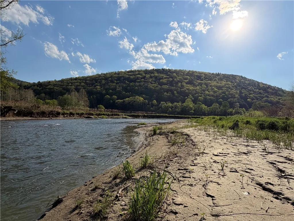 Wp Lot02 County Route 119, Canisteo, New York 1481, Canisteo, New York 14819, ,Land,For Sale,Wp Lot02 County Route 119, Canisteo, New York 1481,0,R1690389