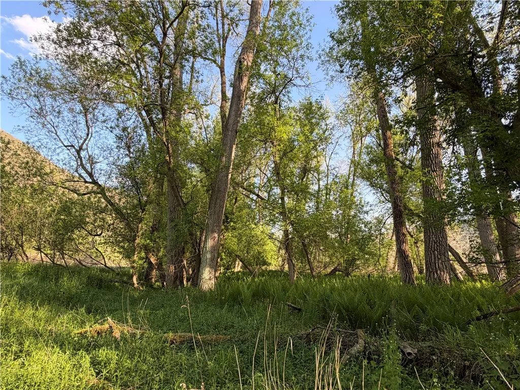 Wp Lot02 County Route 119, Canisteo, New York 1481, Canisteo, New York 14819, ,Land,For Sale,Wp Lot02 County Route 119, Canisteo, New York 1481,0,R1690389