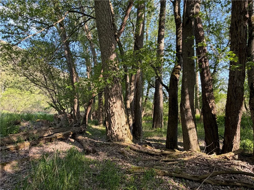 Wp Lot02 County Route 119, Canisteo, New York 1481, Canisteo, New York 14819, ,Land,For Sale,Wp Lot02 County Route 119, Canisteo, New York 1481,0,R1690389