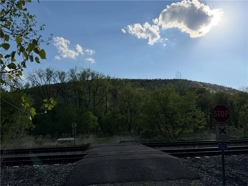 Wp Lot02 County Route 119, Canisteo, New York 1481, Canisteo, New York 14819, ,Land,For Sale,Wp Lot02 County Route 119, Canisteo, New York 1481,0,R1690389