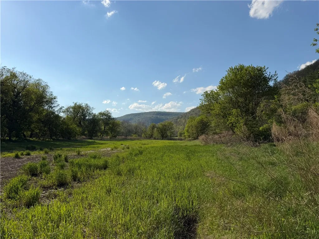 Wp Lot02 County Route 119, Canisteo, New York 1481, Canisteo, New York 14819, ,Land,For Sale,Wp Lot02 County Route 119, Canisteo, New York 1481,0,R1690389