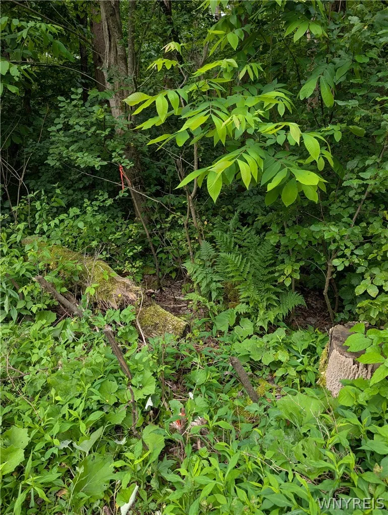 5499 Bryant Hill Road, Ellicottville, New York 147, Ellicottville, New York 14731, ,Land,For Sale,5499 Bryant Hill Road, Ellicottville, New York 147,0,B1689739