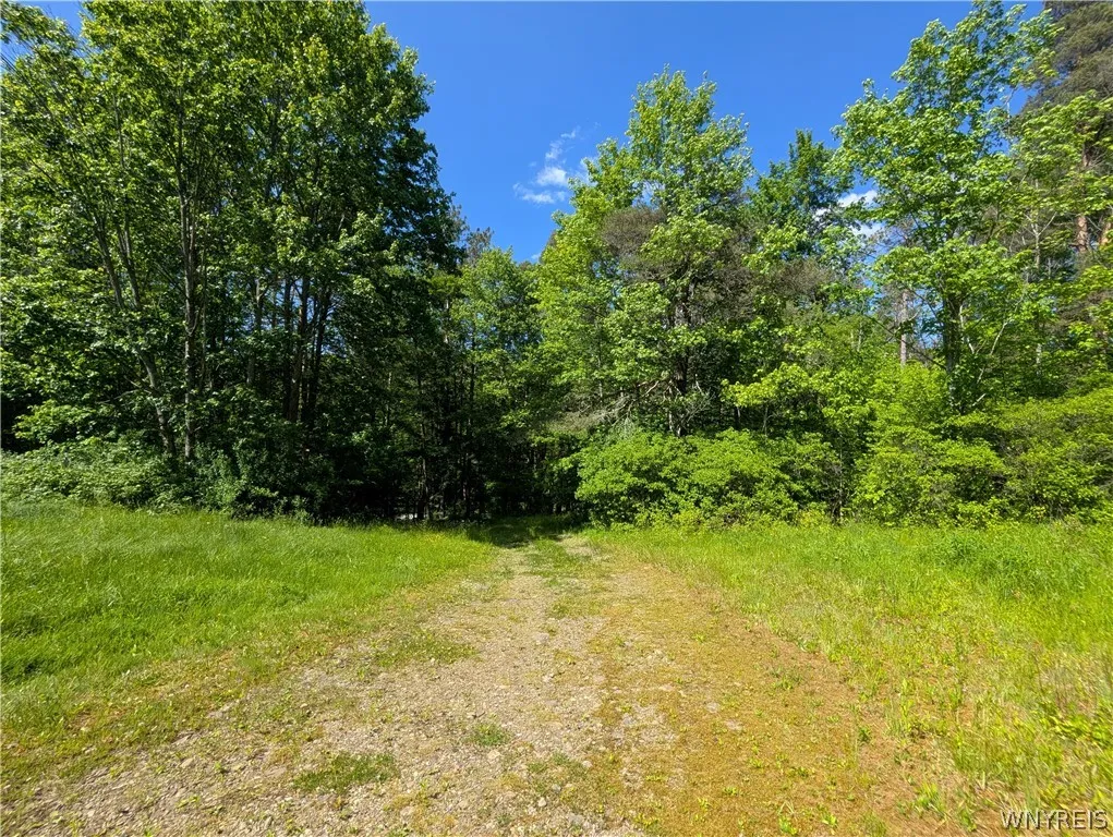 5499 Bryant Hill Road, Ellicottville, New York 147, Ellicottville, New York 14731, ,Land,For Sale,5499 Bryant Hill Road, Ellicottville, New York 147,0,B1689739