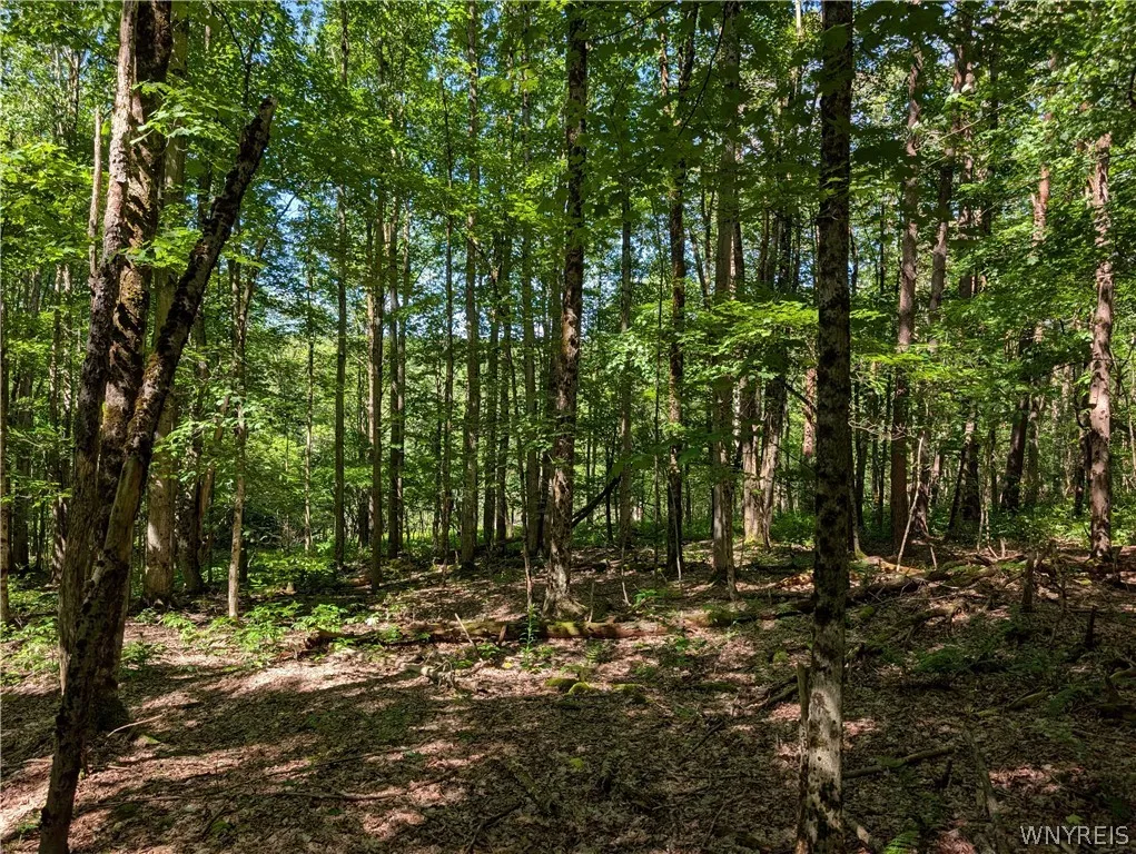 5499 Bryant Hill Road, Ellicottville, New York 147, Ellicottville, New York 14731, ,Land,For Sale,5499 Bryant Hill Road, Ellicottville, New York 147,0,B1689739