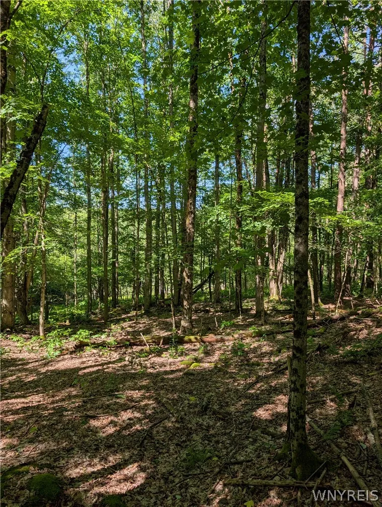 5499 Bryant Hill Road, Ellicottville, New York 147, Ellicottville, New York 14731, ,Land,For Sale,5499 Bryant Hill Road, Ellicottville, New York 147,0,B1689739