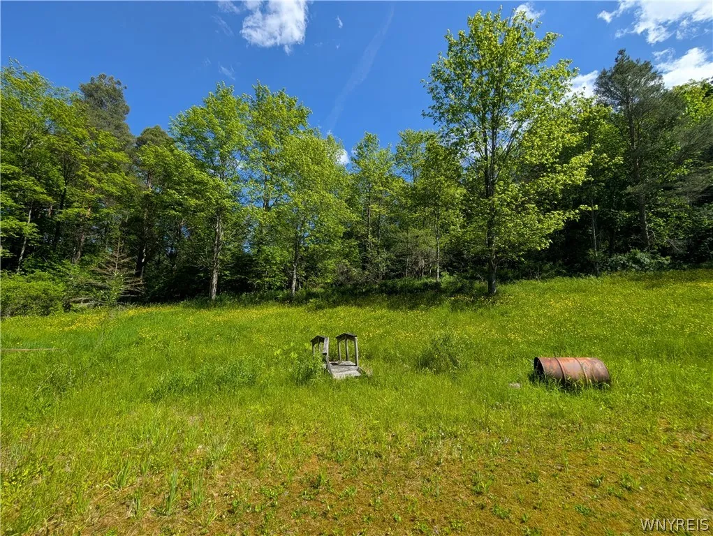 5499 Bryant Hill Road, Ellicottville, New York 147, Ellicottville, New York 14731, ,Land,For Sale,5499 Bryant Hill Road, Ellicottville, New York 147,0,B1689739