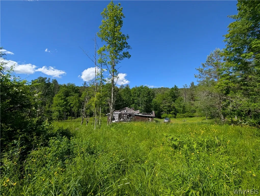 5499 Bryant Hill Road, Ellicottville, New York 147, Ellicottville, New York 14731, ,Land,For Sale,5499 Bryant Hill Road, Ellicottville, New York 147,0,B1689739