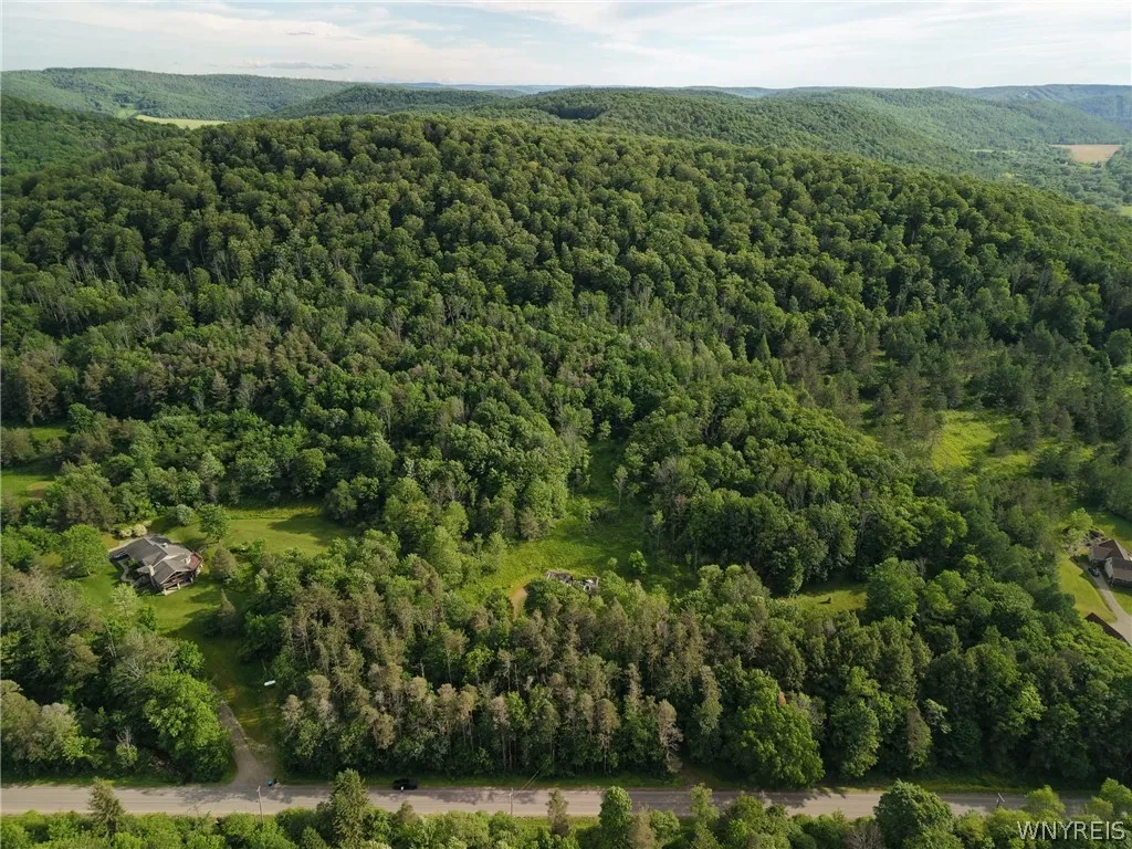 5499 Bryant Hill Road, Ellicottville, New York 147, Ellicottville, New York 14731, ,Land,For Sale,5499 Bryant Hill Road, Ellicottville, New York 147,0,B1689739
