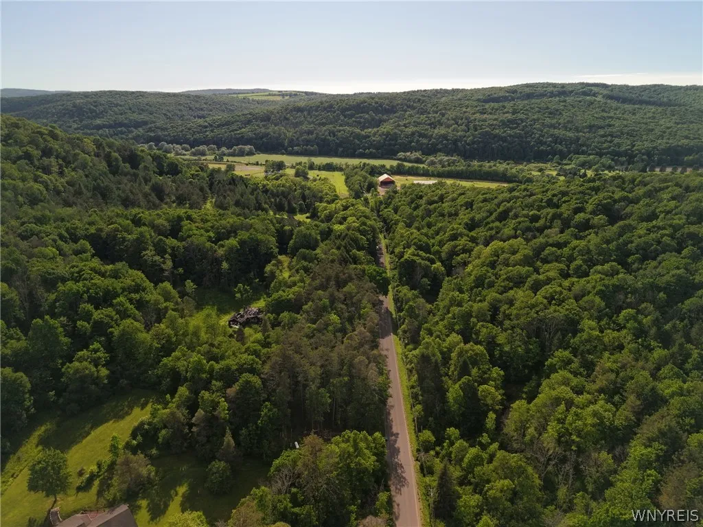 5499 Bryant Hill Road, Ellicottville, New York 147, Ellicottville, New York 14731, ,Land,For Sale,5499 Bryant Hill Road, Ellicottville, New York 147,0,B1689739