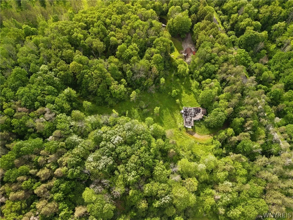 5499 Bryant Hill Road, Ellicottville, New York 147, Ellicottville, New York 14731, ,Land,For Sale,5499 Bryant Hill Road, Ellicottville, New York 147,0,B1689739