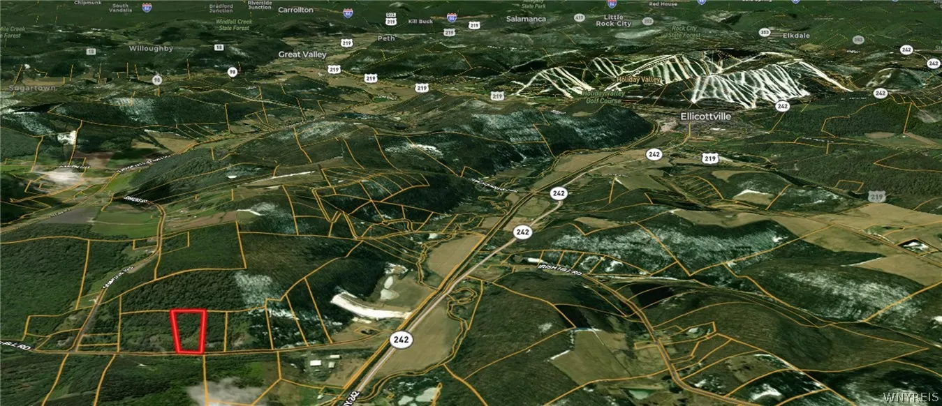Shows how close it is to Holiday Valley tubing and then also you can see Ellicottville in the aerial