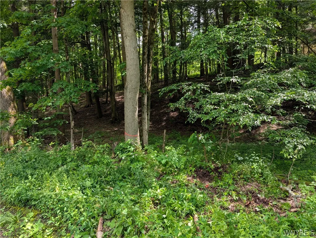 5499 Bryant Hill Road, Ellicottville, New York 147, Ellicottville, New York 14731, ,Land,For Sale,5499 Bryant Hill Road, Ellicottville, New York 147,0,B1689739