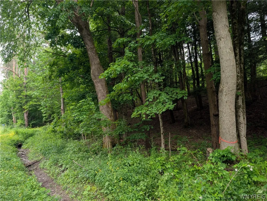 5499 Bryant Hill Road, Ellicottville, New York 147, Ellicottville, New York 14731, ,Land,For Sale,5499 Bryant Hill Road, Ellicottville, New York 147,0,B1689739