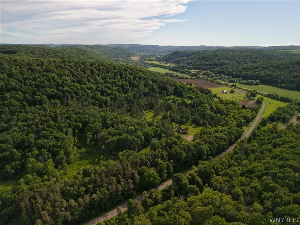 5499 Bryant Hill Road, Ellicottville, New York 147, Ellicottville, New York 14731, ,Land,For Sale,5499 Bryant Hill Road, Ellicottville, New York 147,0,B1689739