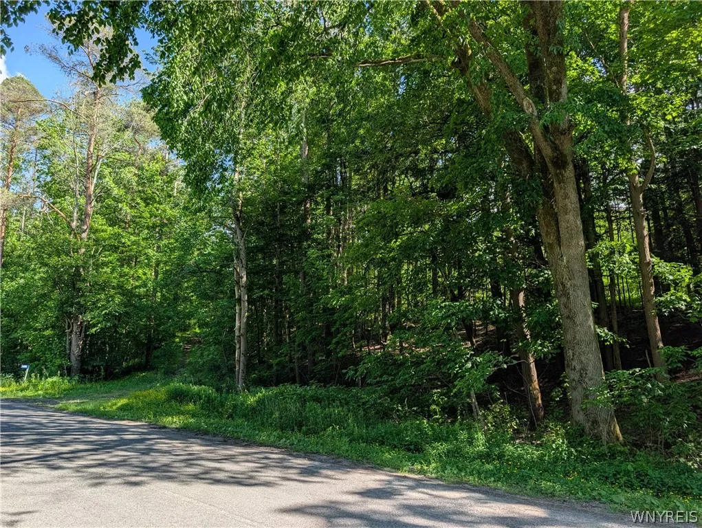 5499 Bryant Hill Road, Ellicottville, New York 147, Ellicottville, New York 14731, ,Land,For Sale,5499 Bryant Hill Road, Ellicottville, New York 147,0,B1689739