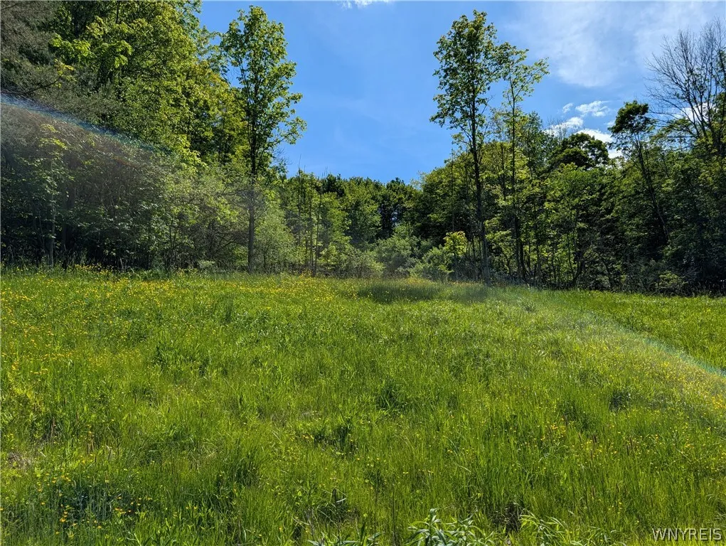 5499 Bryant Hill Road, Ellicottville, New York 147, Ellicottville, New York 14731, ,Land,For Sale,5499 Bryant Hill Road, Ellicottville, New York 147,0,B1689739