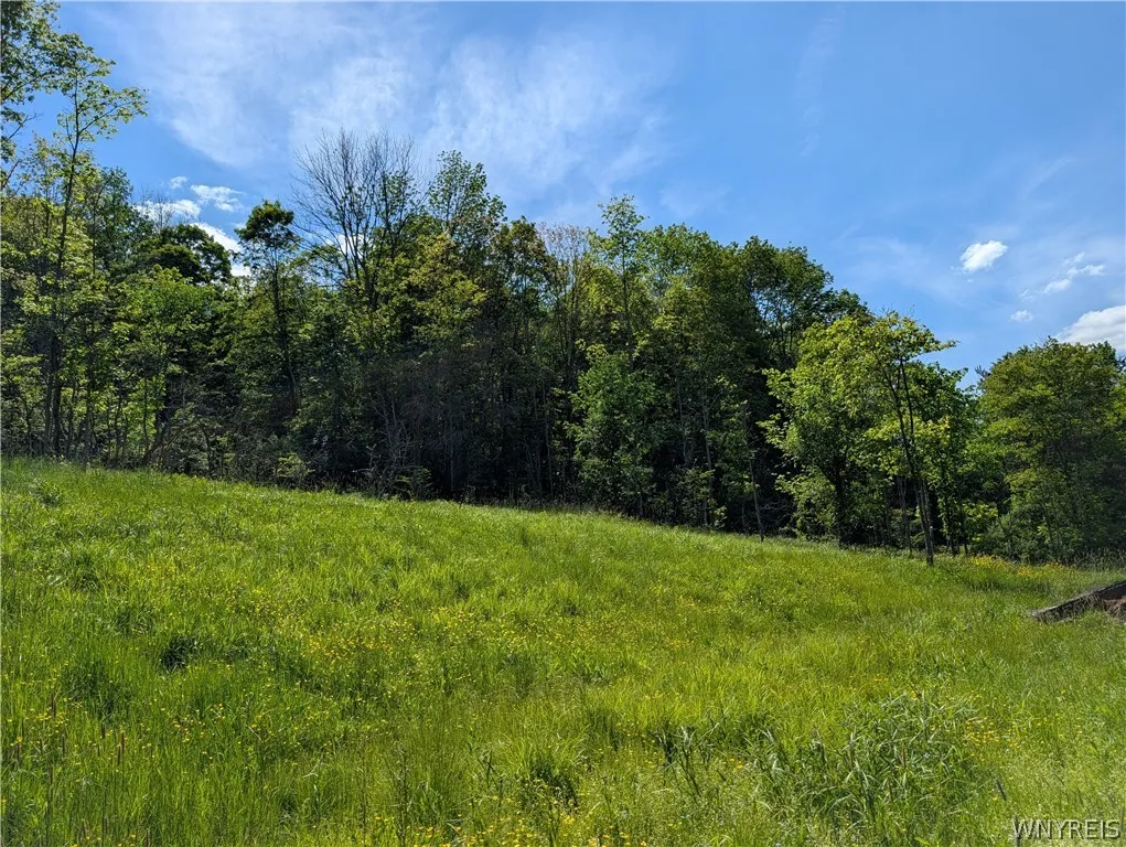 5499 Bryant Hill Road, Ellicottville, New York 147, Ellicottville, New York 14731, ,Land,For Sale,5499 Bryant Hill Road, Ellicottville, New York 147,0,B1689739
