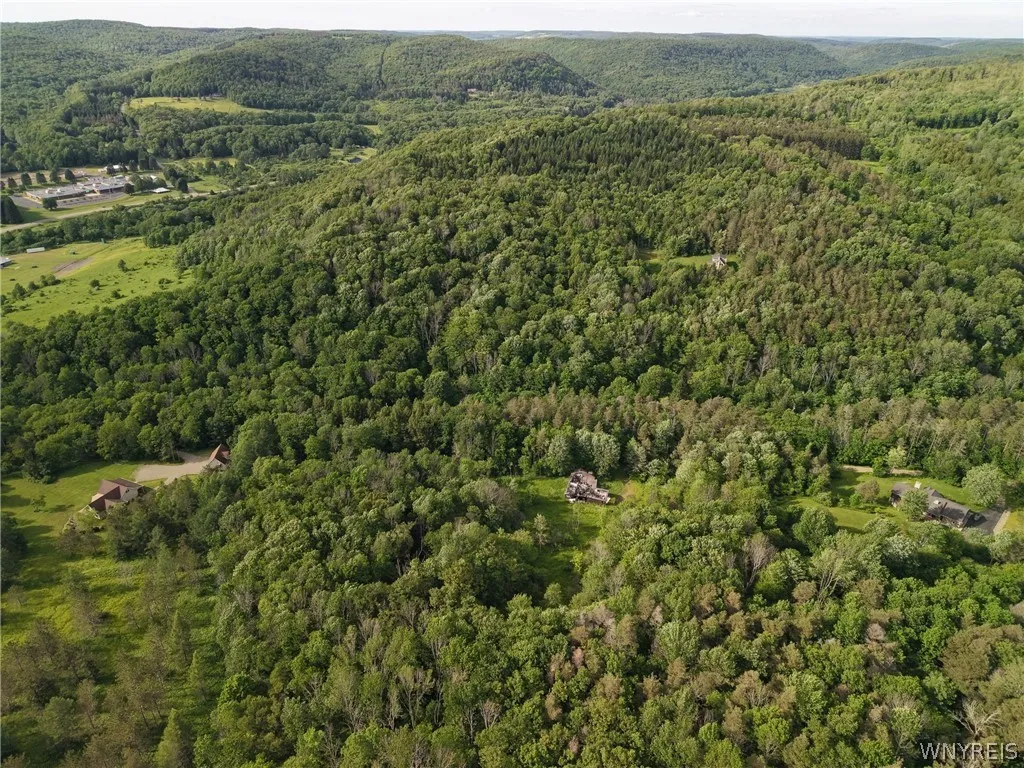5499 Bryant Hill Road, Ellicottville, New York 147, Ellicottville, New York 14731, ,Land,For Sale,5499 Bryant Hill Road, Ellicottville, New York 147,0,B1689739