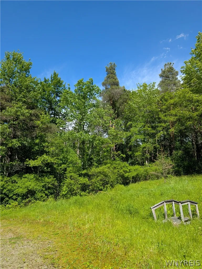 5499 Bryant Hill Road, Ellicottville, New York 147, Ellicottville, New York 14731, ,Land,For Sale,5499 Bryant Hill Road, Ellicottville, New York 147,0,B1689739