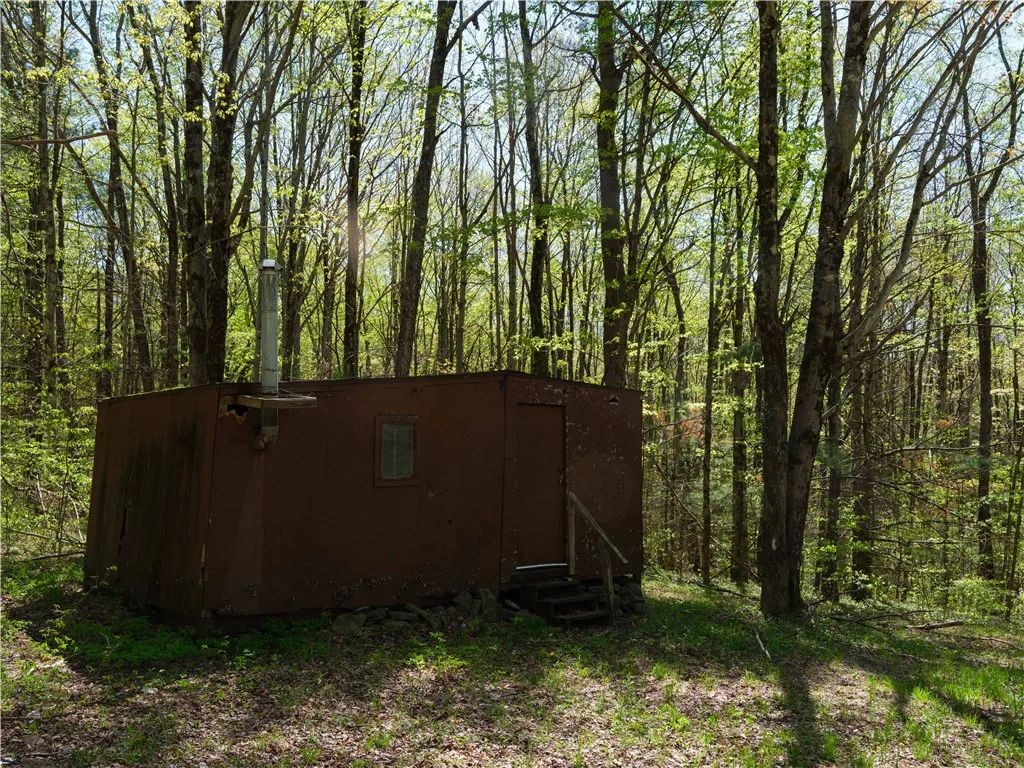 Sanly Road, Franklin, New York 13839, Franklin, New York 13839, ,Land,For Sale,Sanly Road, Franklin, New York 13839,0,R1690506