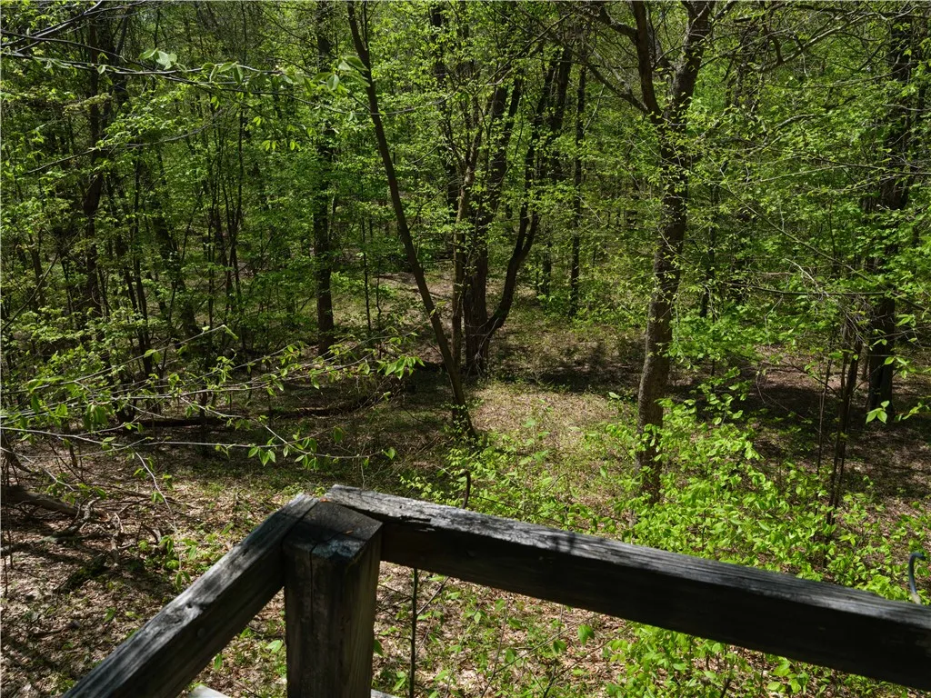 Sanly Road, Franklin, New York 13839, Franklin, New York 13839, ,Land,For Sale,Sanly Road, Franklin, New York 13839,0,R1690506
