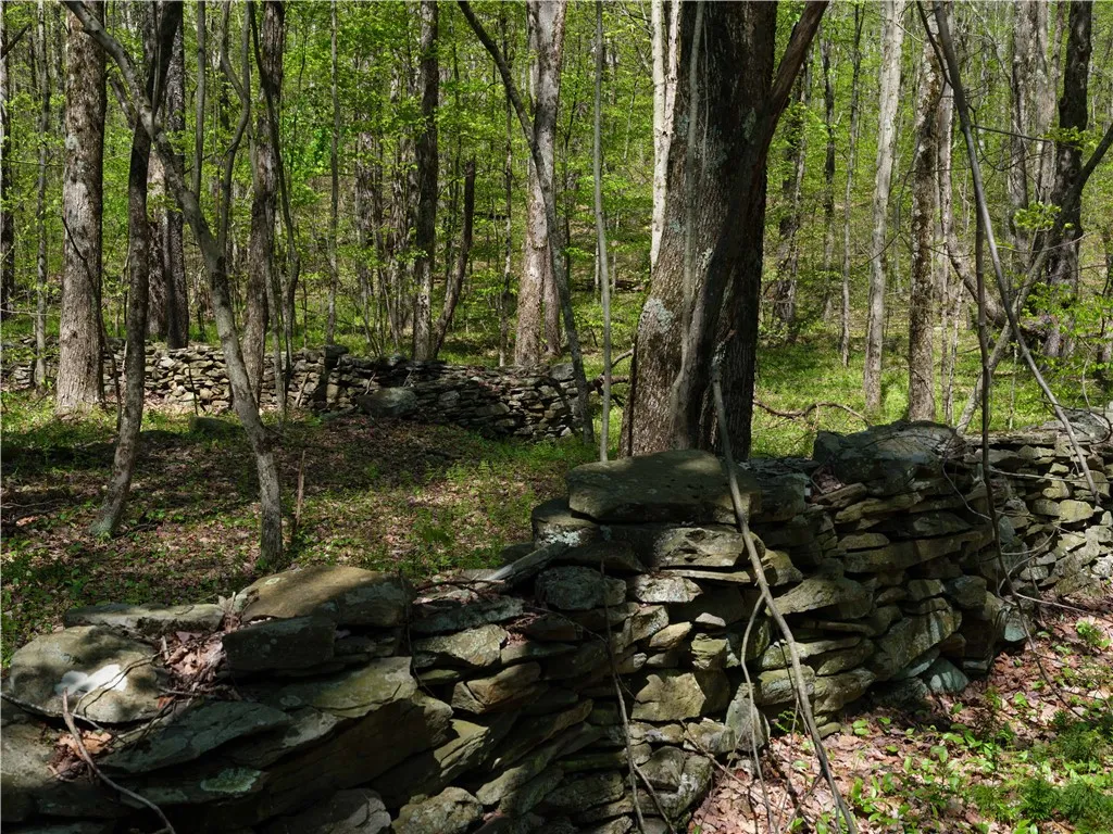 Sanly Road, Franklin, New York 13839, Franklin, New York 13839, ,Land,For Sale,Sanly Road, Franklin, New York 13839,0,R1690506