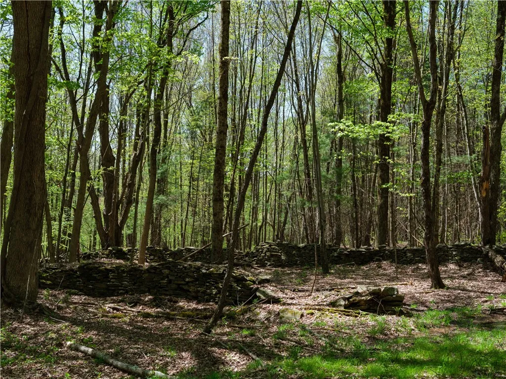 Sanly Road, Franklin, New York 13839, Franklin, New York 13839, ,Land,For Sale,Sanly Road, Franklin, New York 13839,0,R1690506