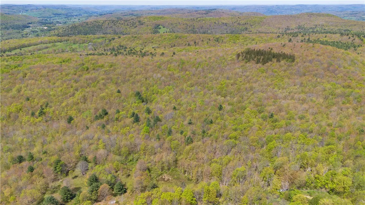 Sanly Road, Franklin, New York 13839, Franklin, New York 13839, ,Land,For Sale,Sanly Road, Franklin, New York 13839,0,R1690506