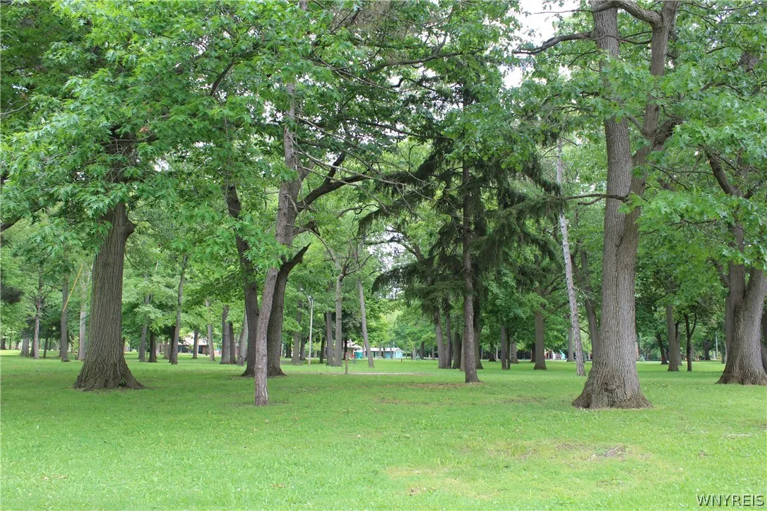 View of park