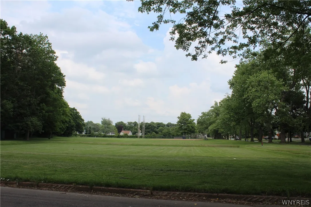 Pinewoods field