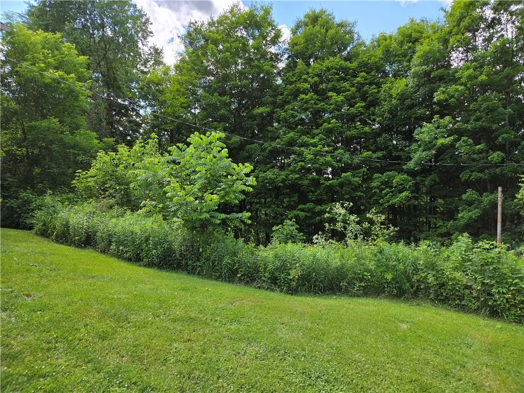 5 South Hill Road, Van Etten, New York 14889, Van Etten, New York 14889, 4 Bedroom Bedrooms, 9 Room Rooms,1 BathroomBathrooms,Residential,For Sale,5 South Hill Road, Van Etten, New York 14889,0,R1691748
