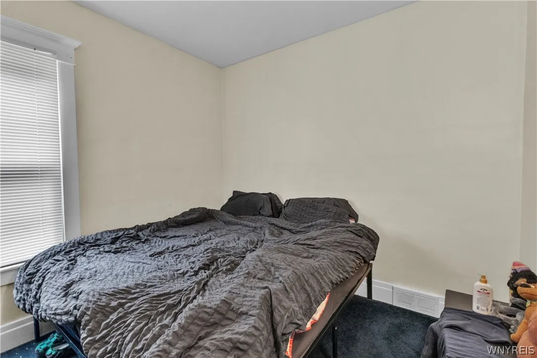 230 North Park Avenue, Buffalo, New York 14216, Buffalo, New York 14216, 6 Bedrooms Bedrooms, ,2 BathroomsBathrooms,Residential,For Sale,230 North Park Avenue, Buffalo, New York 14216,0,B1692604
